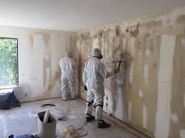 Best Mold Removal for HVAC Installations  in Lyndon, KS